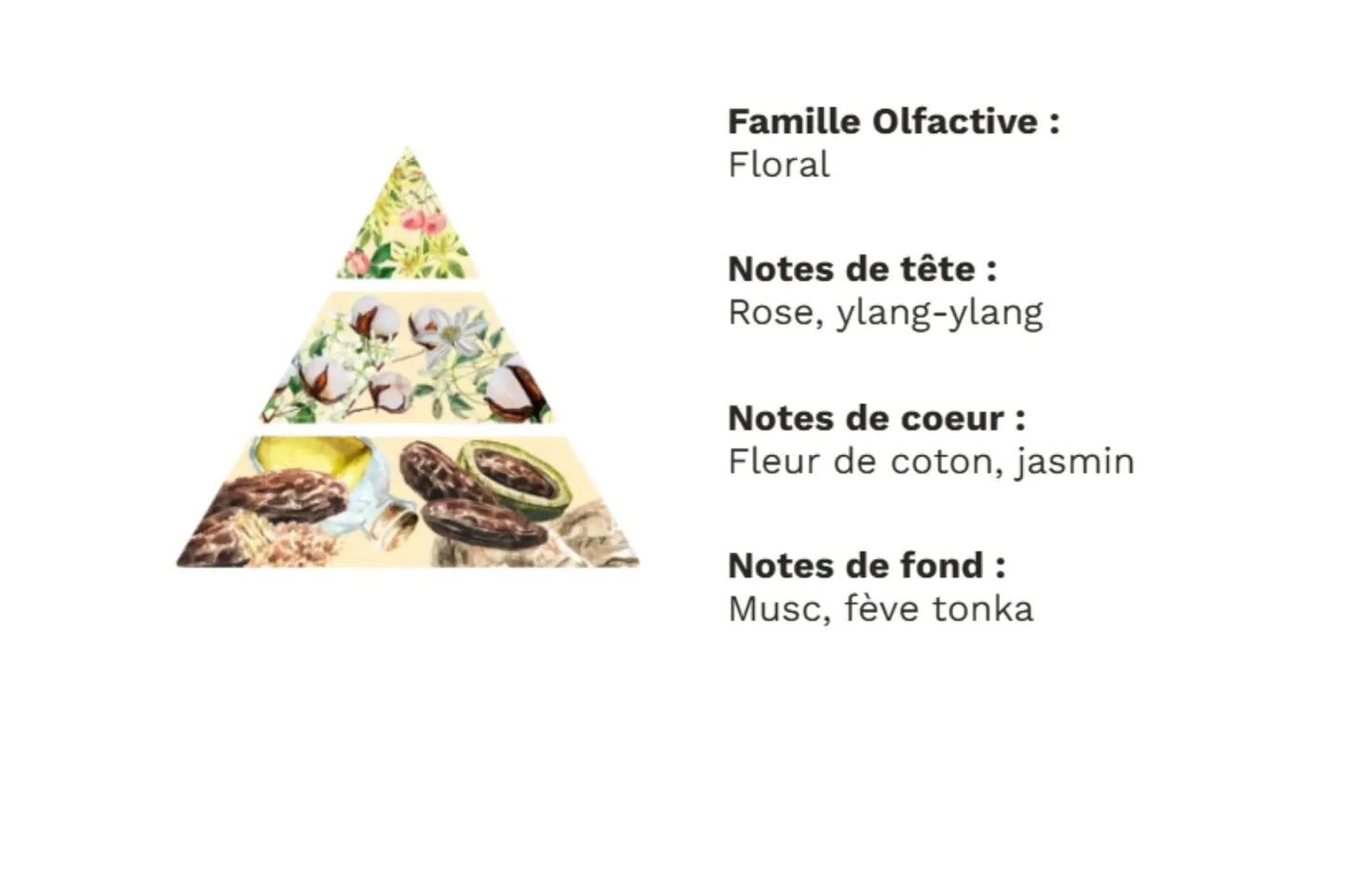 Fondants fleur de coton - 5 g