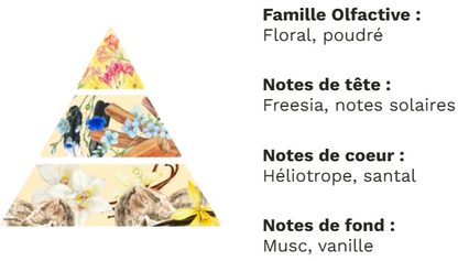 Fondants doux rêve - 5 g
